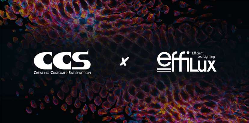 CCS | Effilux