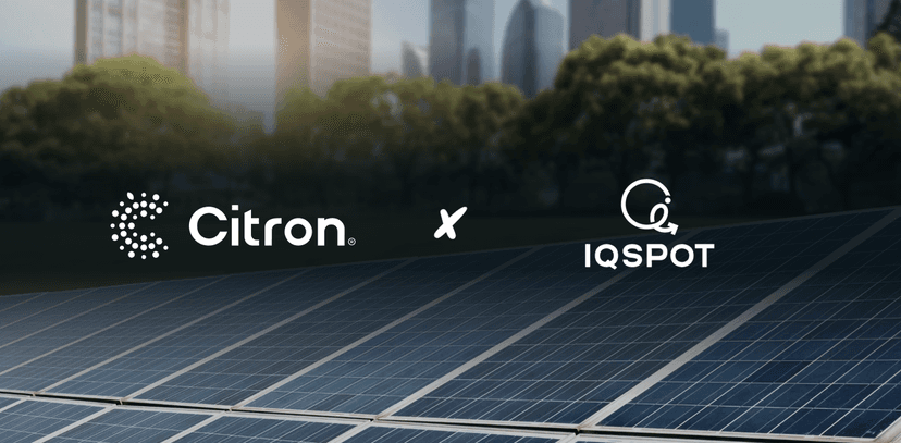 Citron | iQspot